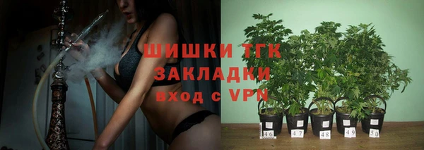 крисы Курчалой