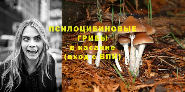 мяу мяу кристалл Снежногорск