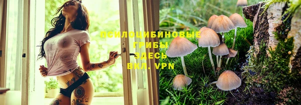 эйфоретик Зеленодольск