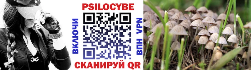 Галлюциногенные грибы Cubensis  даркнет формула  Славянск-на-Кубани 