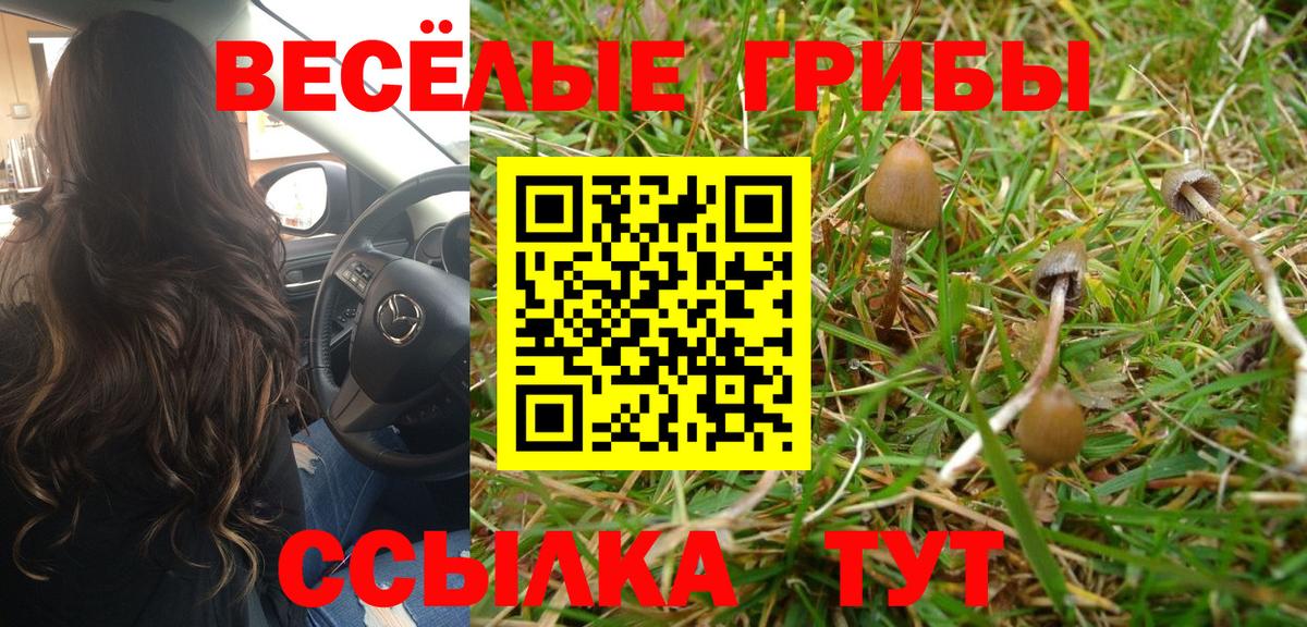 Галлюциногенные грибы мухоморы  купить наркоту  Славянск-на-Кубани 