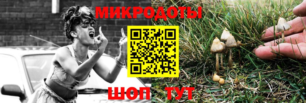 Псилоцибиновые грибы ЛСД Славянск-на-Кубани